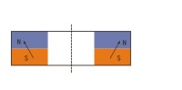 Skewed magnetization